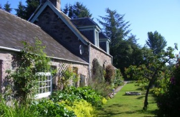 garden from stanley 057